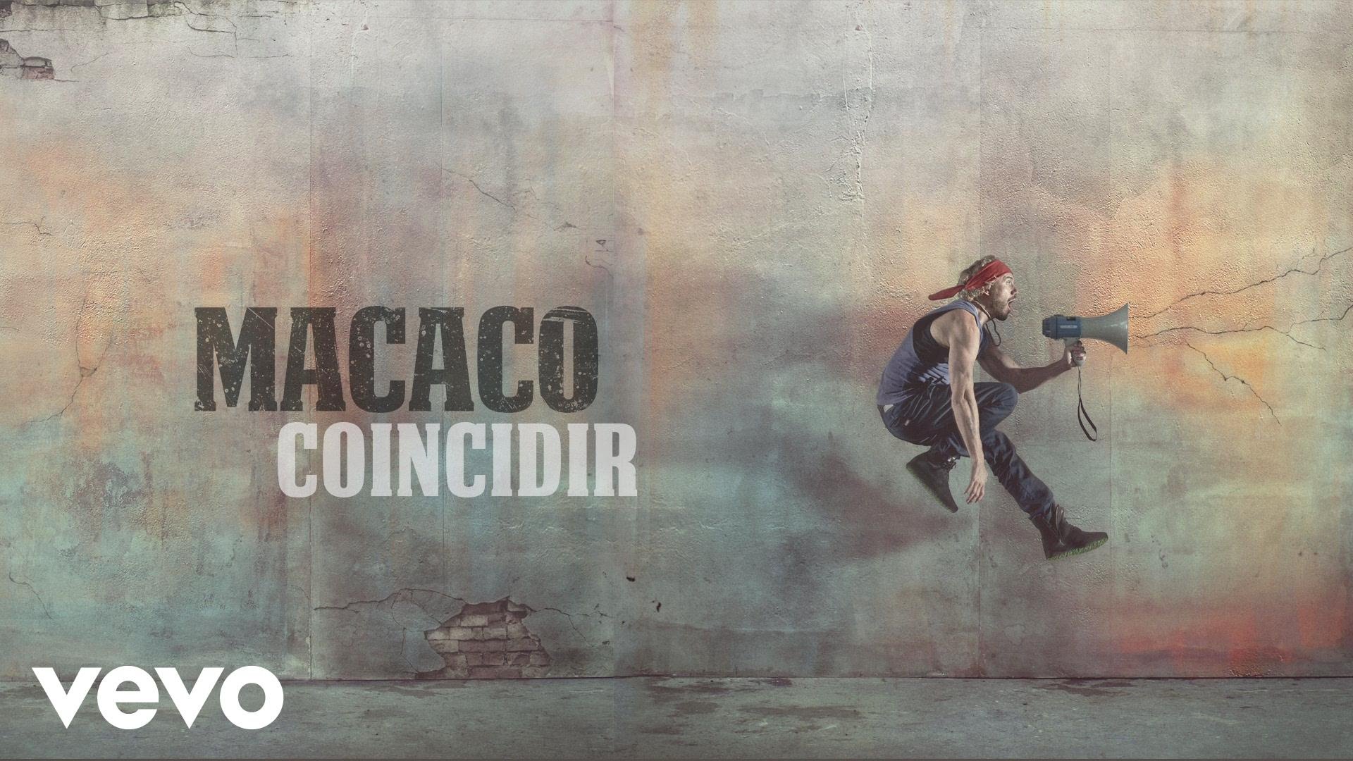 Coincidir - Macaco